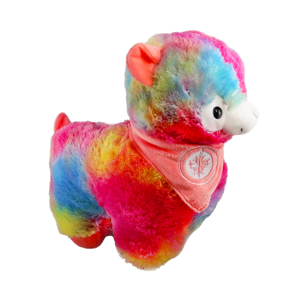 13 RAINBOW LLAMA True North Shop