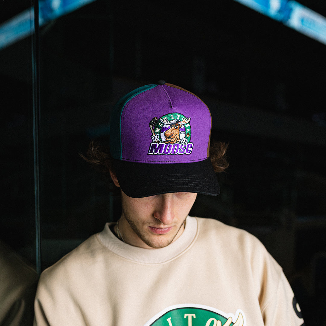 MOOSE FFO RETRO PINWHEEL CAP