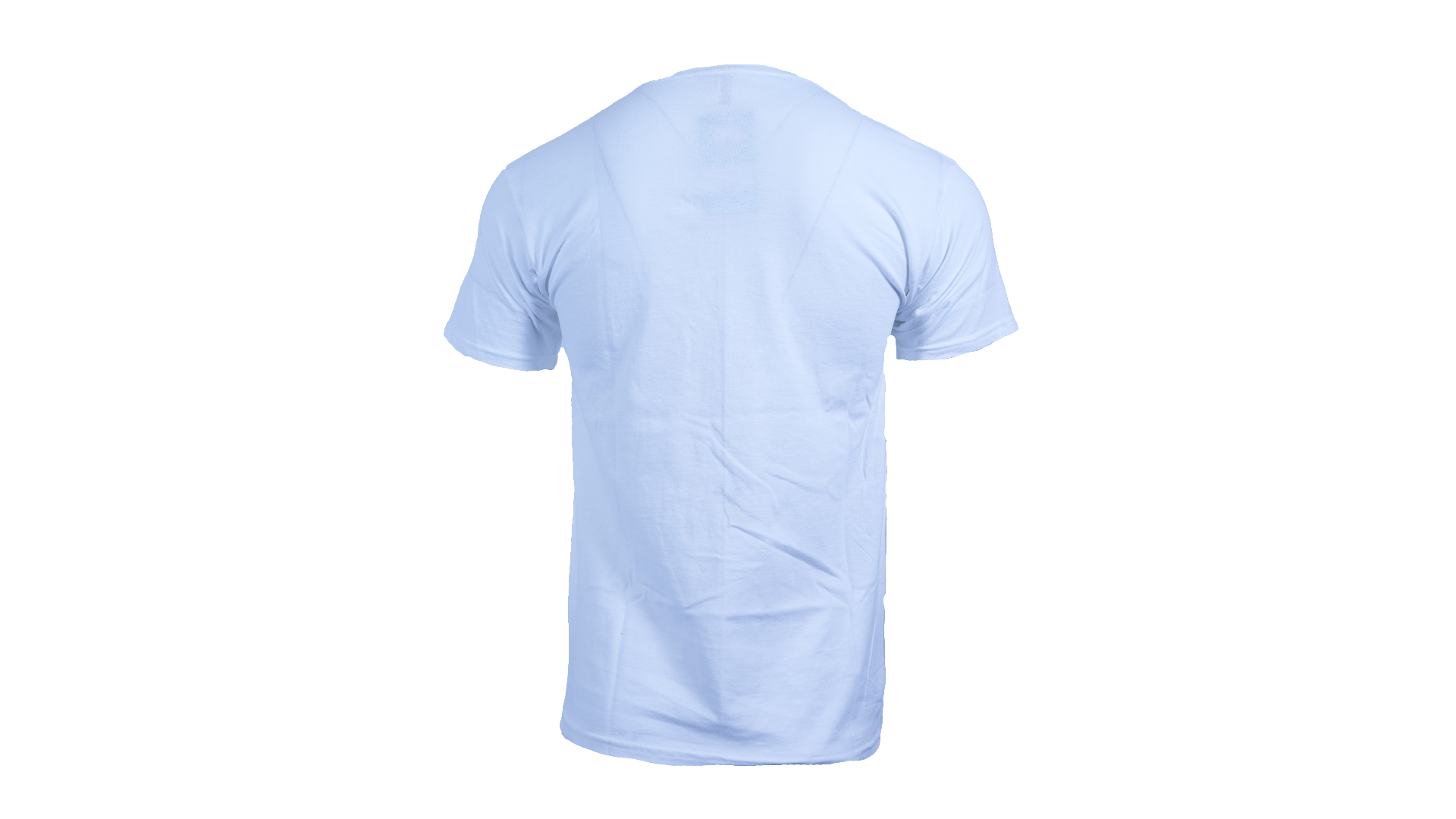 SEA BEARS ESTABLISHED TEE WHITE