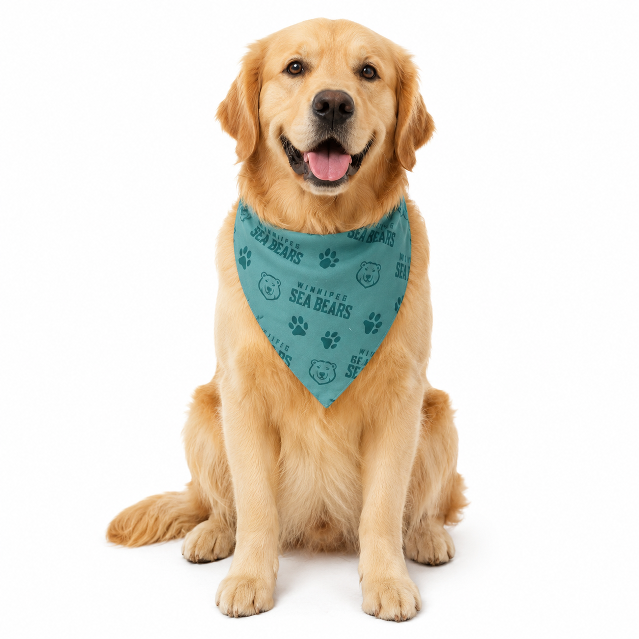SEA BEARS PET BANDANA LARGE