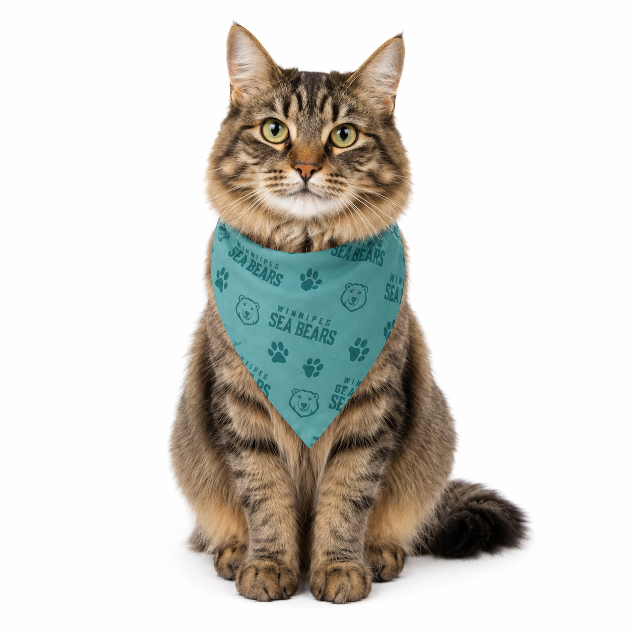SEA BEARS PET BANDANA SMALL